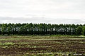 hokkaido324
