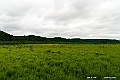 hokkaido343
