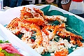 hokkaido379