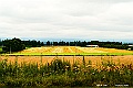 hokkaido398