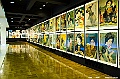 hokkaido424