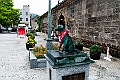 hokkaido491
