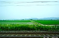 kyushu0319