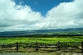 kyushu0616