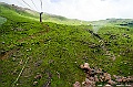 kyushu0647