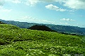 kyushu0816