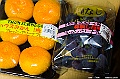kyushu0926