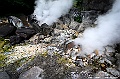 kyushu1381