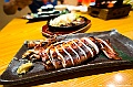kyushu1551