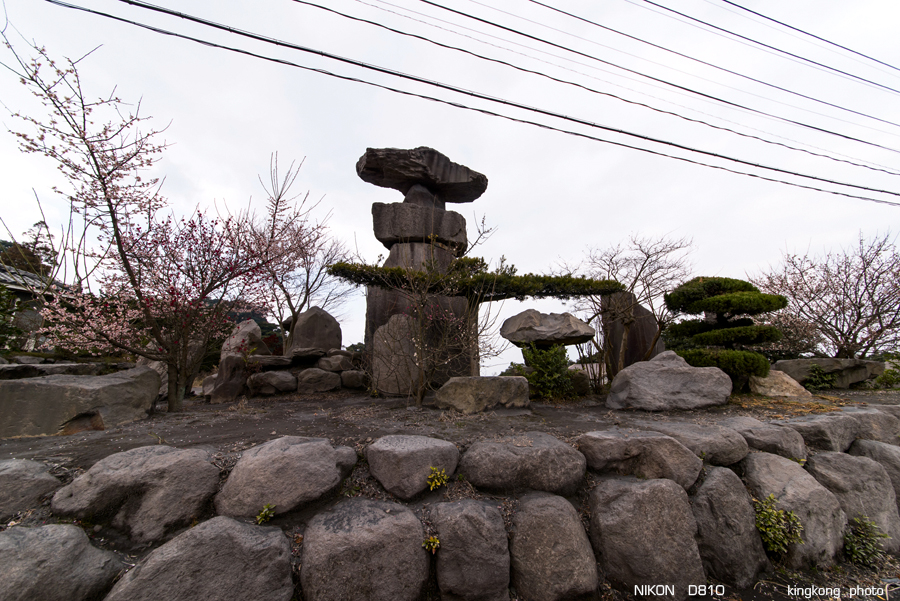 kyushu2015_0218_130220.jpg