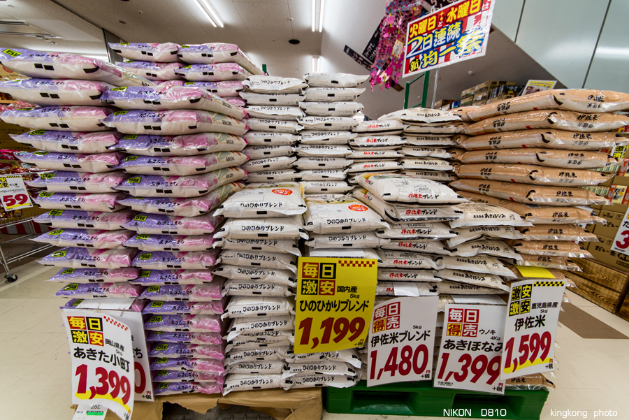 kyushu2015_0218_160737.jpg