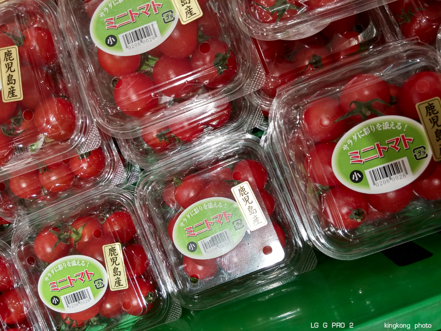 kyushu2015_0218_212331.jpg