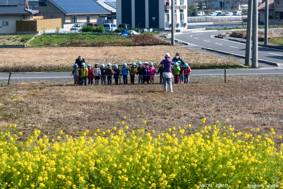 kyushu2015_0219_093416.jpg