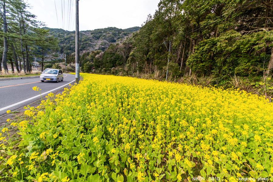 kyushu2015_0219_131017.jpg