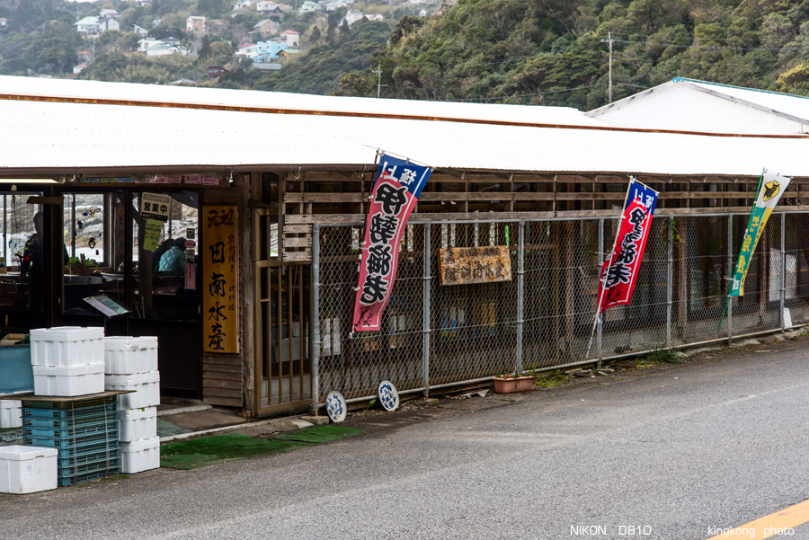 kyushu2015_0221_130511.jpg