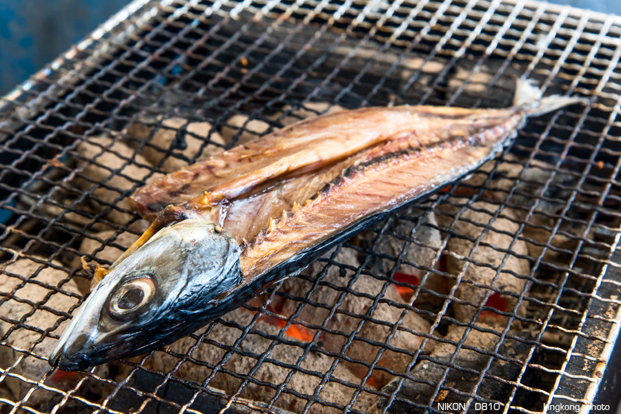 kyushu2015_0221_134901.jpg