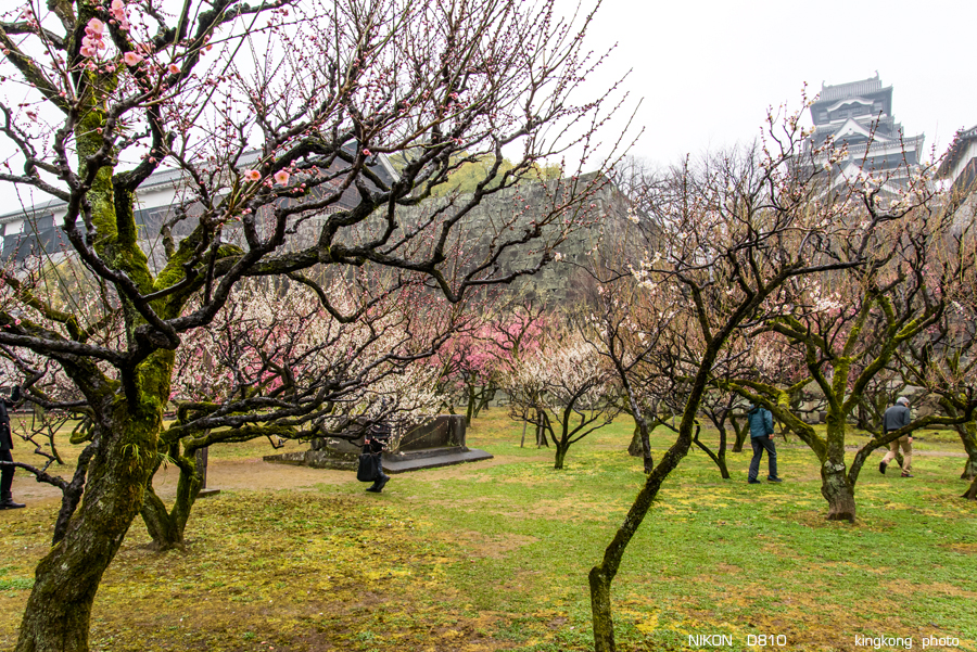 kyushu2015_0222_112008.jpg