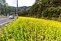 kyushu2015_0219_131017