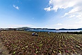 kyushu2015_0219_132129