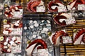 kyushu2015_0220_202444