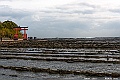 kyushu2015_0221_095920