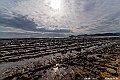 kyushu2015_0221_101526
