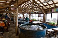 kyushu2015_0221_131953