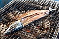 kyushu2015_0221_134901