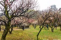 kyushu2015_0222_112008
