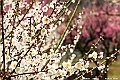kyushu2015_0222_112024