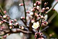 kyushu2015_0222_114833