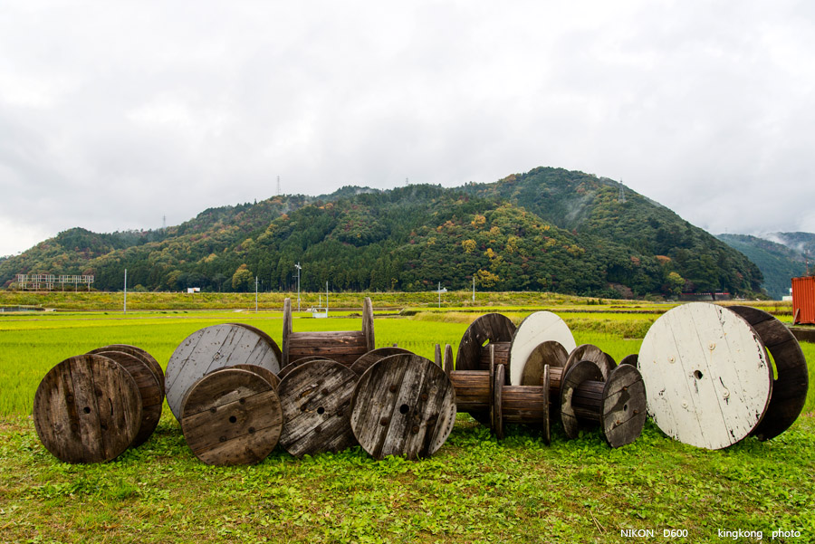DSC_5124.jpg - OSAKA 2013