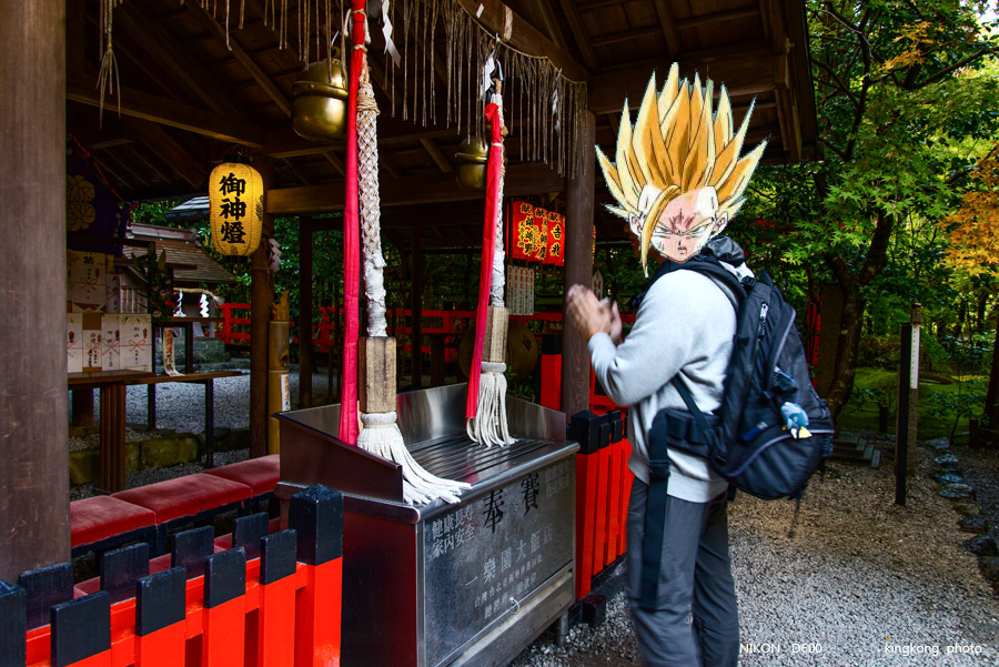 DSC_5199.jpg - OSAKA 2013