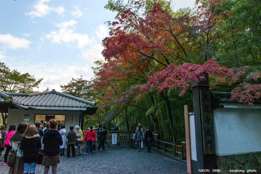 DSC_5203.jpg - OSAKA 2013