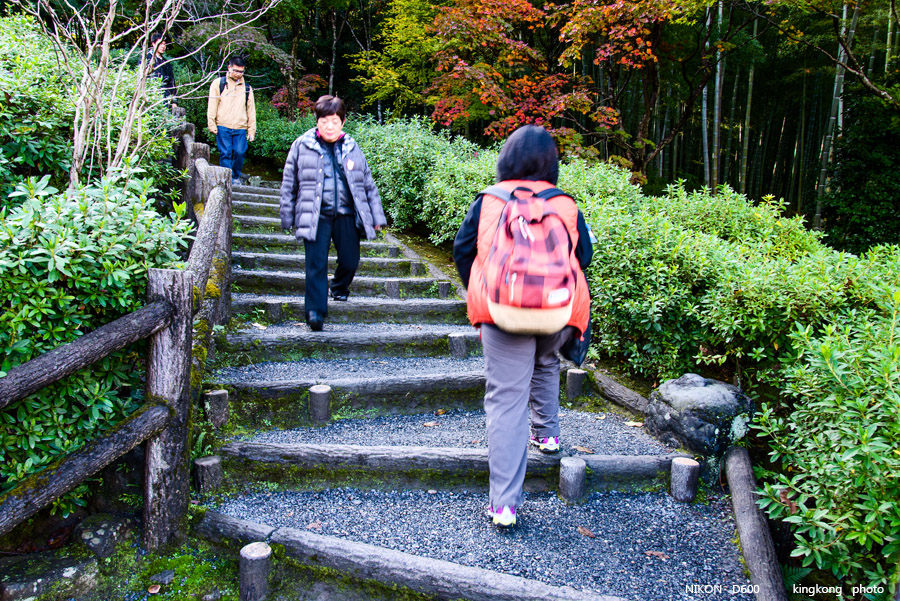 DSC_5206.jpg - OSAKA 2013