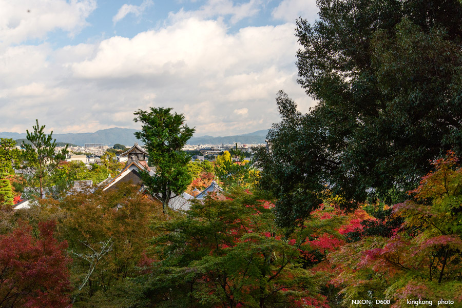 DSC_5212.jpg - OSAKA 2013