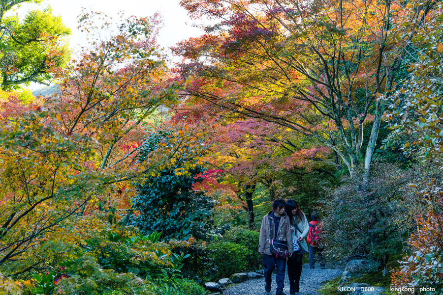 DSC_5216.jpg - OSAKA 2013