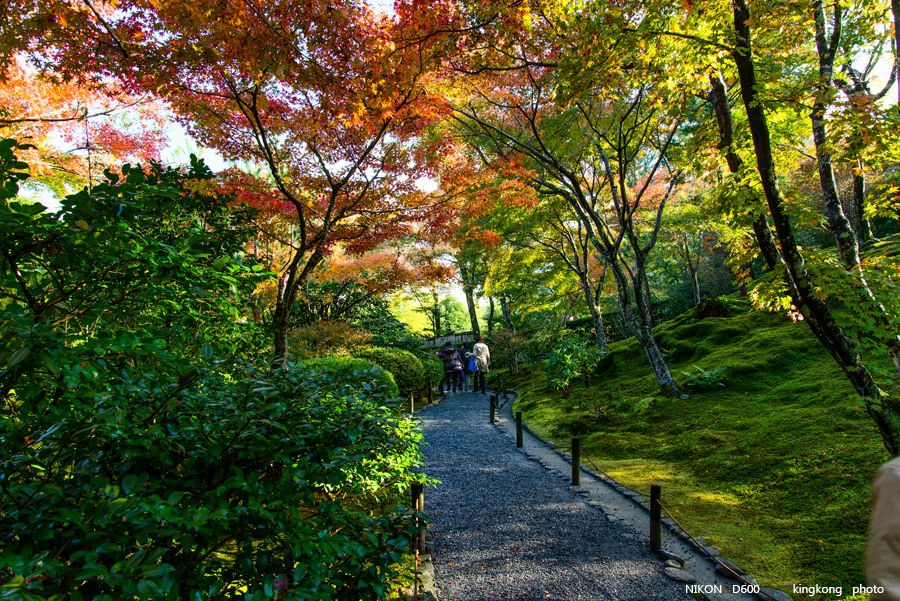 DSC_5217.jpg - OSAKA 2013