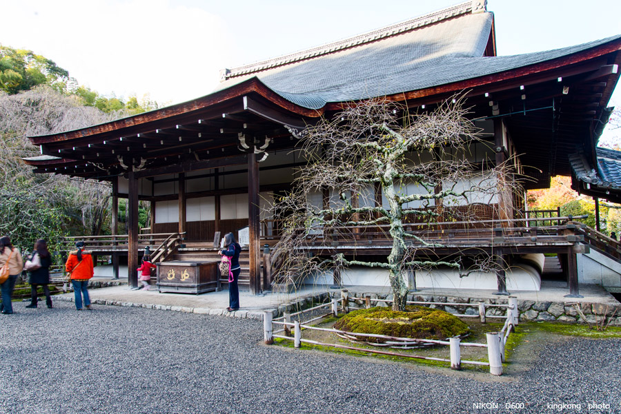 DSC_5267.jpg - OSAKA 2013