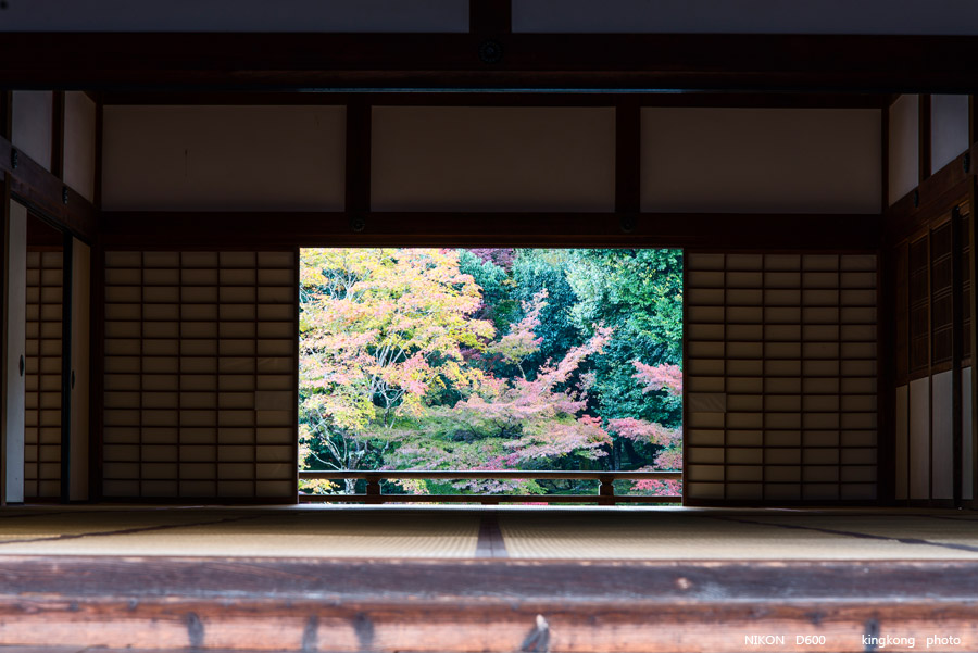 DSC_5269.jpg - OSAKA 2013