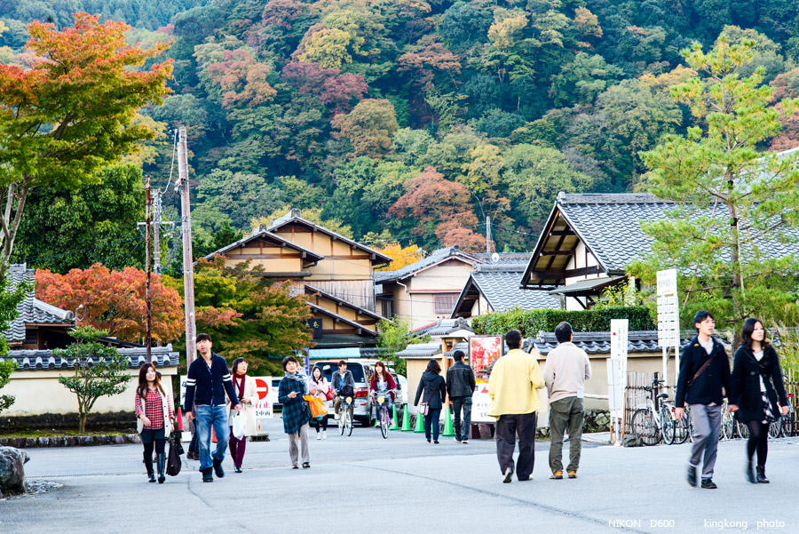 DSC_5271.jpg - OSAKA 2013