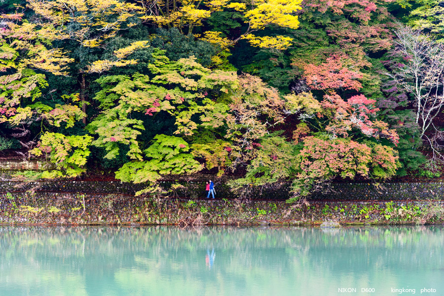 DSC_5282.jpg - OSAKA 2013