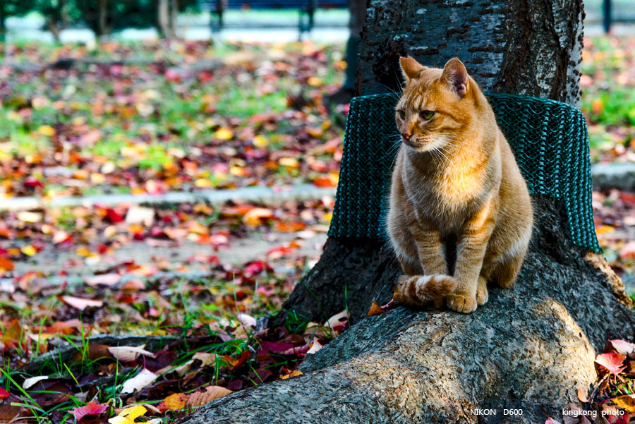 DSC_5602.jpg