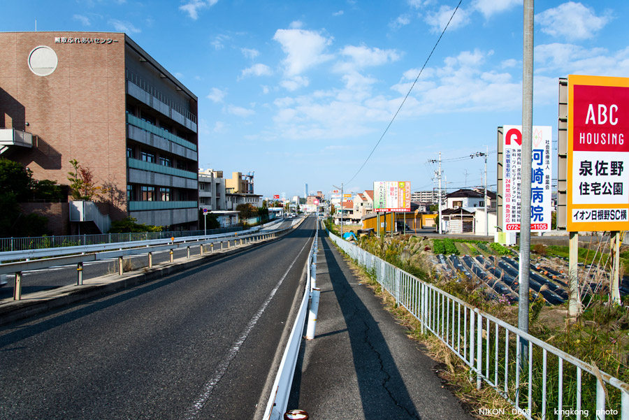 DSC_5681.jpg - OSAKA 2013