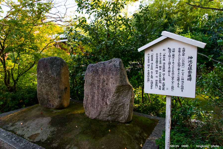 DSC_5748.jpg - OSAKA 2013