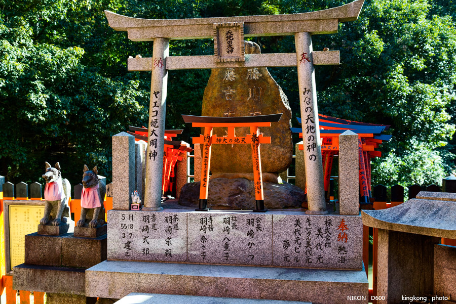 DSC_5878.jpg - OSAKA 2013