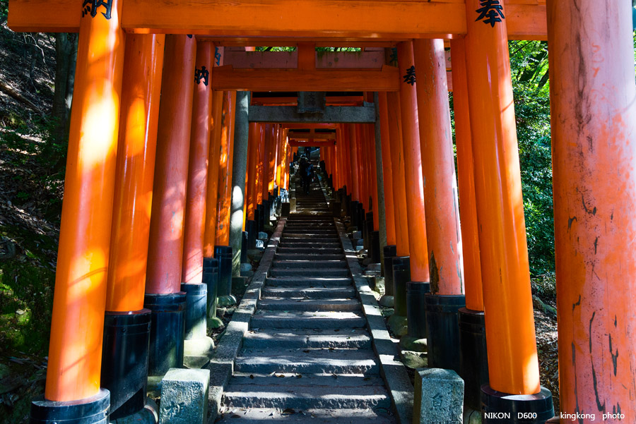 DSC_5884.jpg - OSAKA 2013