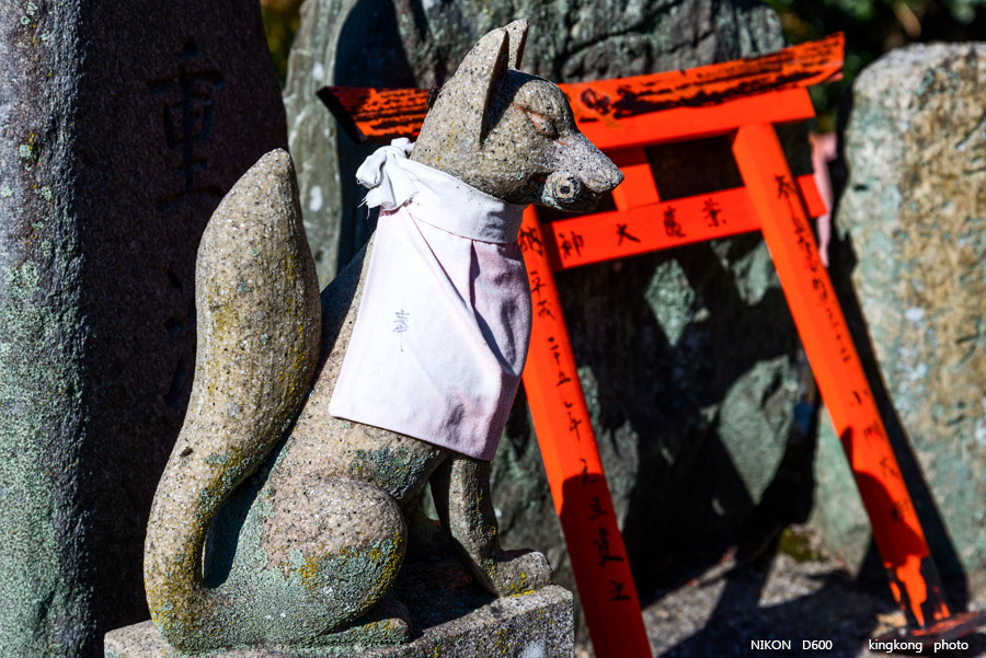 DSC_5898.jpg - OSAKA 2013