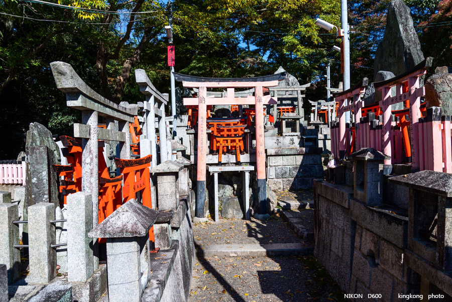 DSC_5899.jpg - OSAKA 2013
