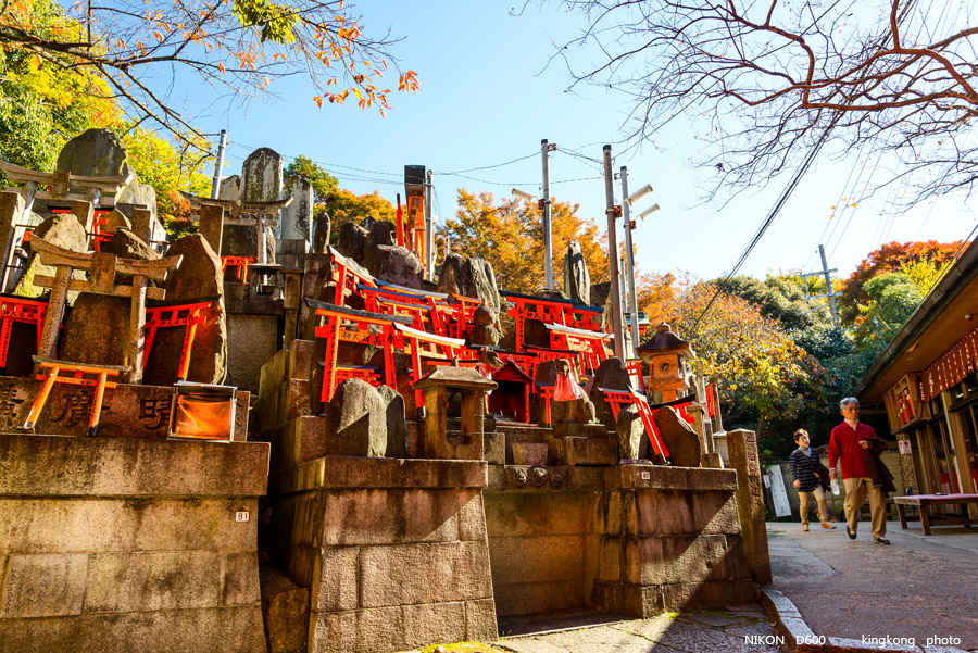 DSC_5905.jpg - OSAKA 2013